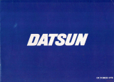 Datsun range 1979 (Prospekt)