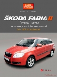 Škoda Fabia II (07-15)