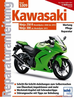 Kawasaki Ninja 250R / 300 (od 08)