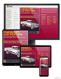 Chevrolet LUV Pickup (72-82) (ONLINE MANUAL)