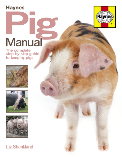 Pig Manual